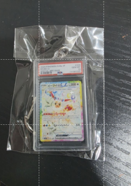 Acrylic Inspired Graded Card Keychain – 5.5 x 3.3 cm Collectible Display Charm